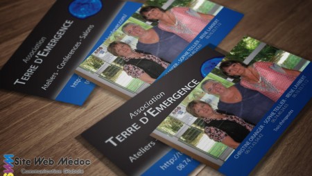 2014.12 : Carte de visite Terre d'Emergence